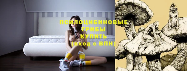 ГАЛЛЮЦИНОГЕННЫЕ ГРИБЫ Куйбышев