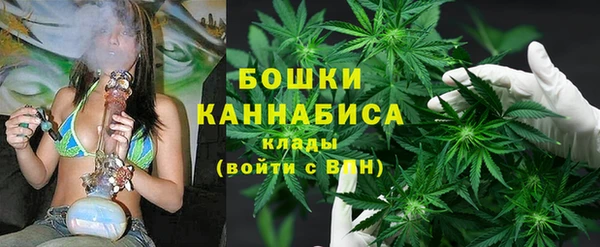 ГАЛЛЮЦИНОГЕННЫЕ ГРИБЫ Куйбышев