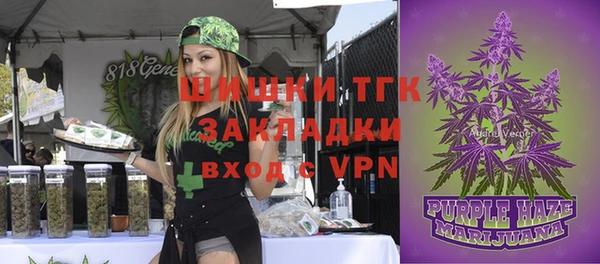 спиды Лагань