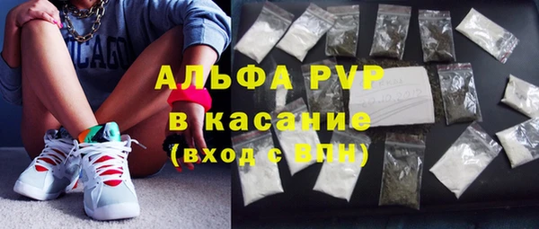 индика Приозерск
