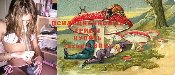 ешки Кукмор